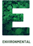 ENVIRONMENTAL